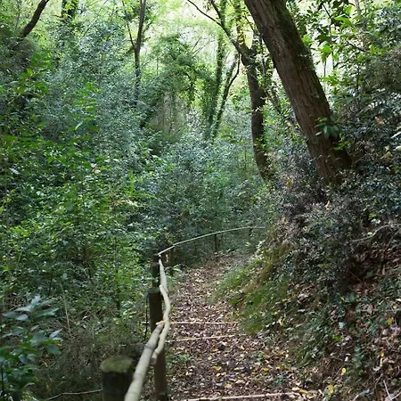 Roseti * San Felice del Benaco